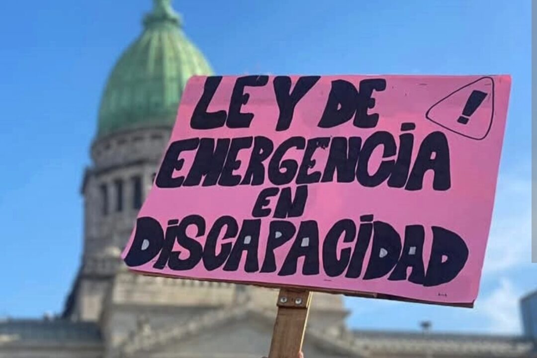 El veto a la Ley de Emergencia en Discapacidad: un golpe a derechos esenciales