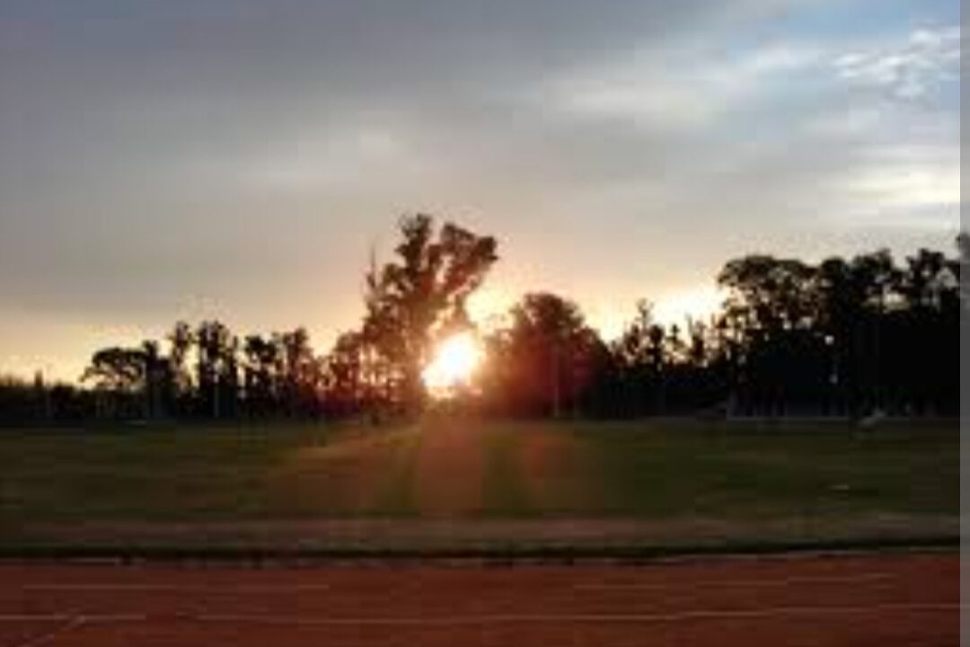 Renovación de la pista de atletismo del Gorki Grana