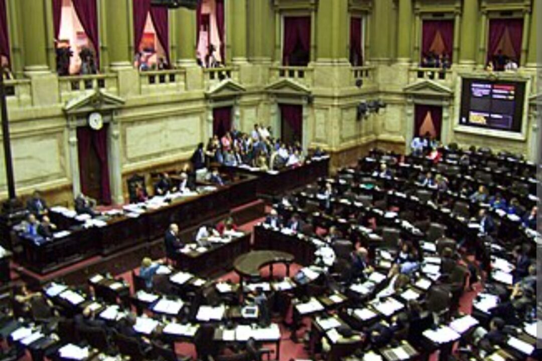 La Cámara de Diputados rechaza el veto de Milei a la Ley de Emergencia en Discapacidad
