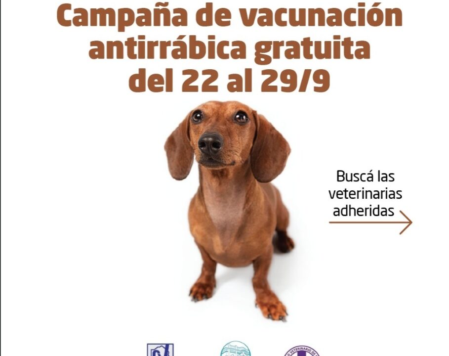 Campaña de Vacunación Gratuita para perros y gatos en Morón